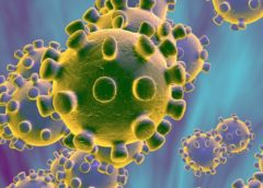 Coronavirus en Afrique : une carte pour suivre au jour le jour l’avancée de l’épidémie